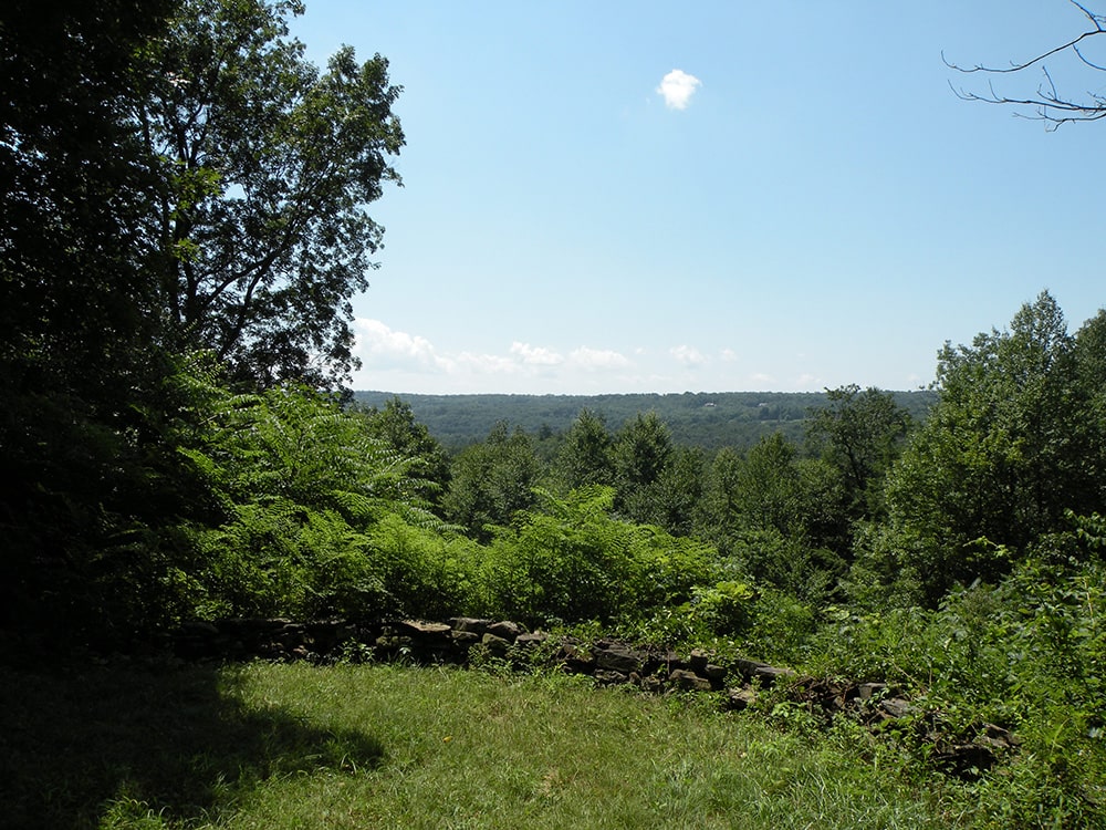 The HV Lookout